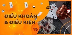 Điều khoản và điều kiện Nghĩa vụ của Người Dùng