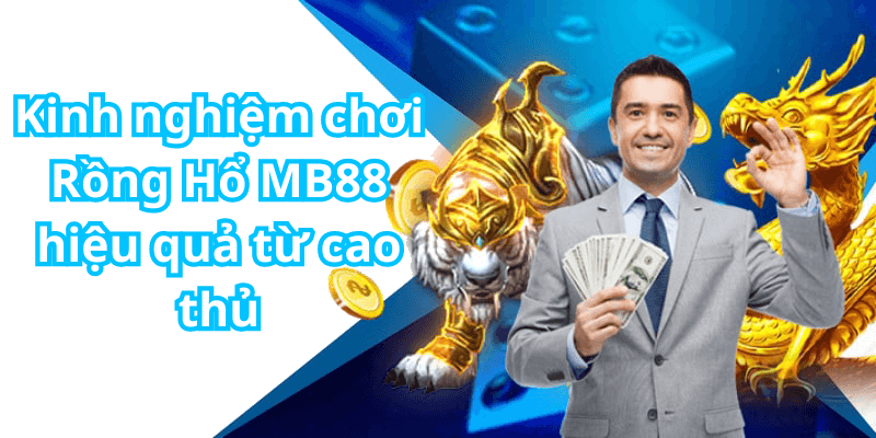 Kinh nghiệm chơi Rồng Hổ MB88 hiệu quả từ cao thủ