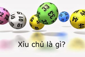 Định Nghĩa Xỉu Chủ Là Gì